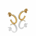Hot Diamonds - Parellel Two Tone Earrings