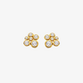 Hot Diamonds - HD X GE Tender Cluster Earrings