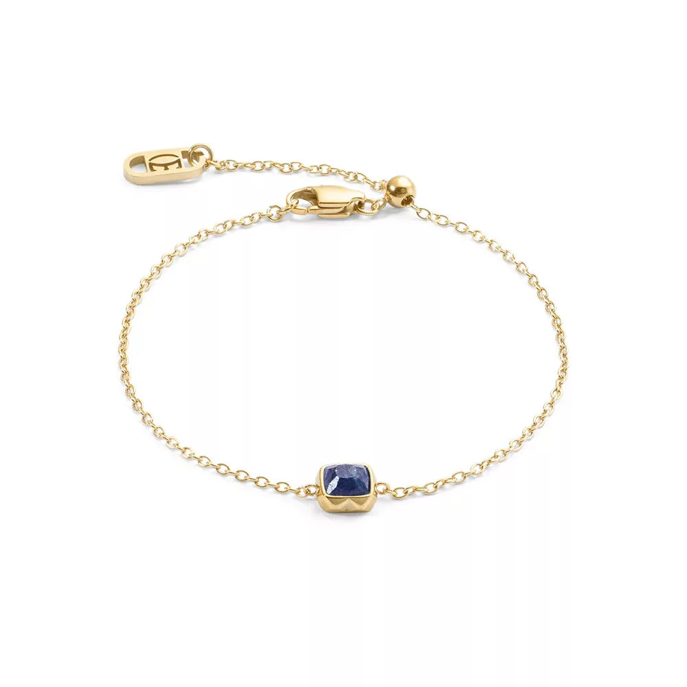 Coeur-de-Lion Lapis Lazuli September Birthstone Bracelet