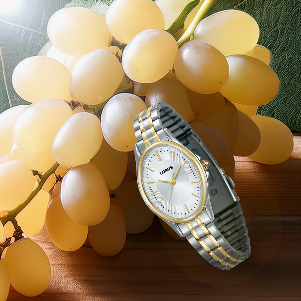 Lorus RRX86JX9 Lorus Silver Colour Dial Two Tone ‘Timeless Sophistication’ Ladies Watch