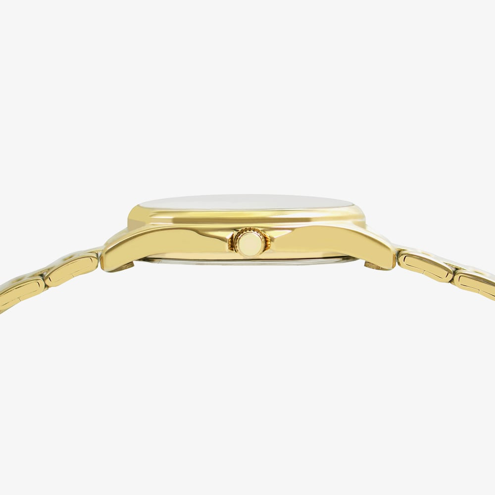 Lorus RRX88JX9 Silver Colour Dial Gold Tone ‘Timeless Sophistication’ Ladies Watch