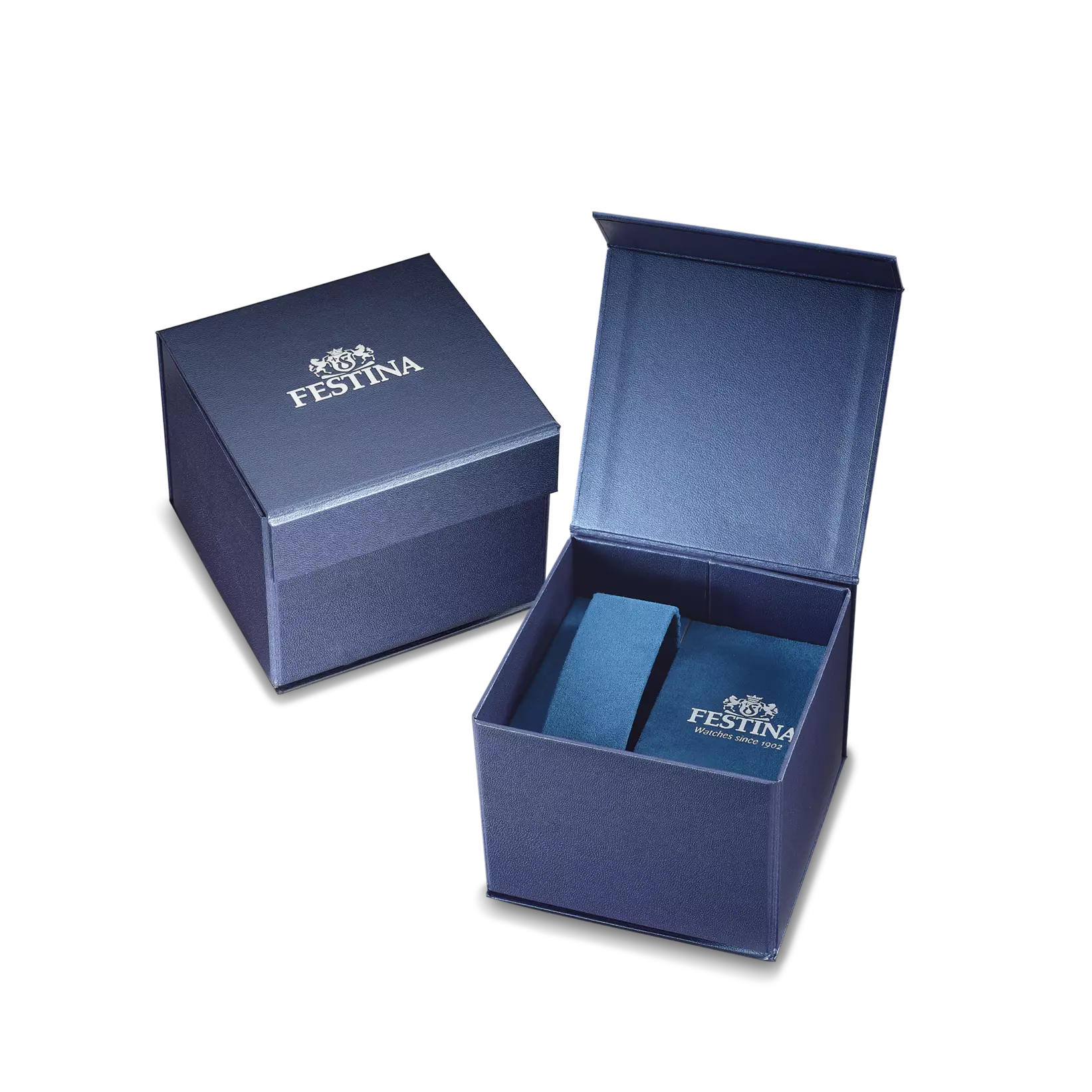 Festina F20699/2 Blue Titanium Men’s Watch with blue leather strap