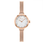 RADLEY - Rose Gold Milanese Bracelet Ladies 24mm Watch